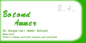 botond ammer business card